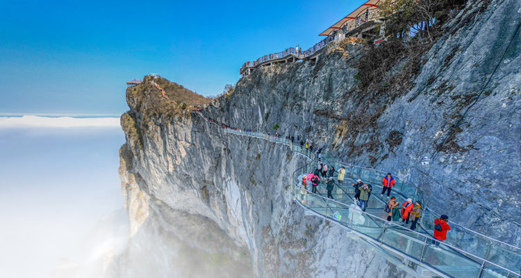 七星山6 七星山6